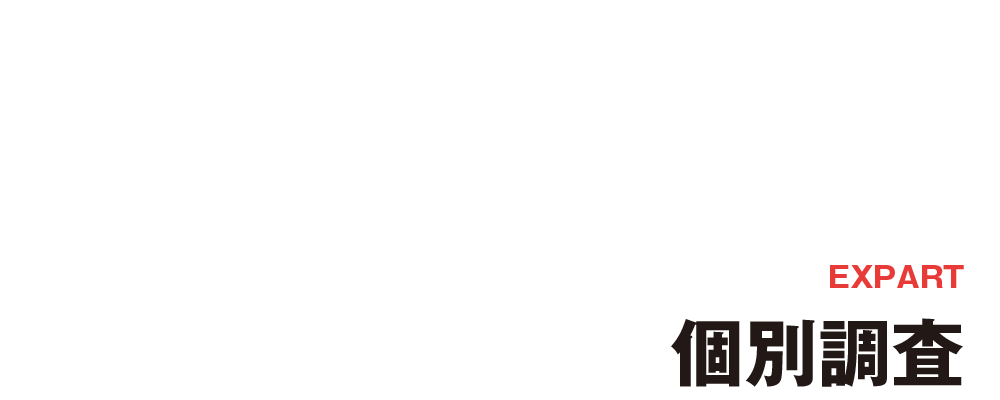 [EXPART]個別調査さらに詳細な情報が必要な案件はレポート付きの個別調査を